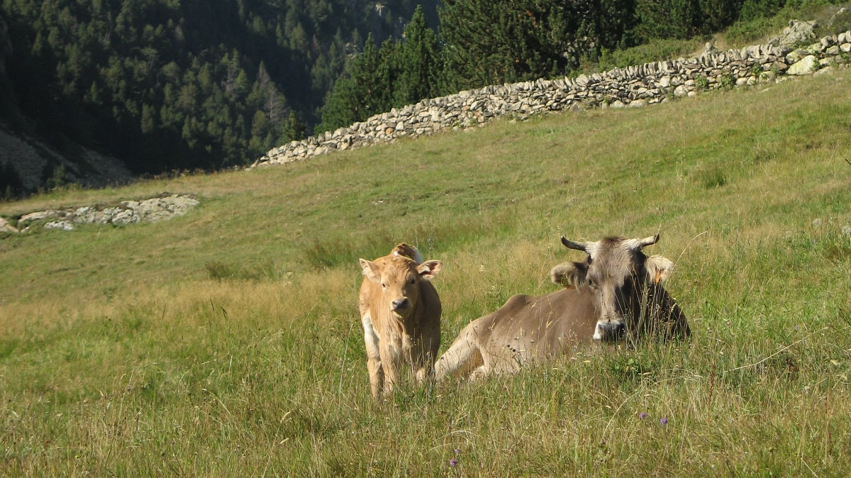 Vacances à la campagne