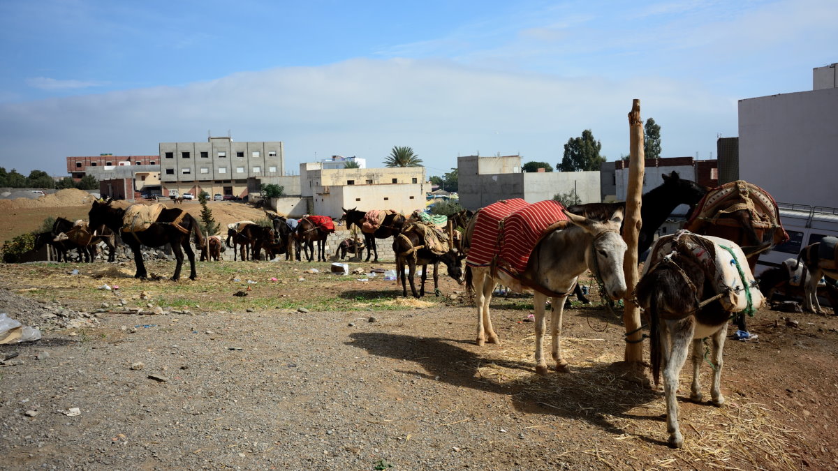 Vacances au Maroc